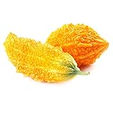 Bitter Gourd Seeds - 3 g Packet ~5 Seeds - Non-GMO, Heirloom Garden Seeds - AKA: Bitter Melon, Balsam Pear, Foo Gwa Photo, best price $3.99 ($39.90 / Ounce) new 2024