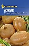 Zwiebelsamen - Zwiebeln Stuttgarter Riesen von Kiepenkerl Foto, bester Preis 2,29 € neu 2024