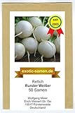 Rettich - Runder Weißer (50 Samen) Foto, bester Preis 1,80 € neu 2024