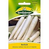 Rettich, Minowase Summer Cross F1 Foto, bester Preis 2,78 € (1.112,00 € / kg) neu 2024