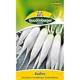 Quedlinburger Radies 'Eiszapfen', 1 Tüte Samen Foto, bester Preis 1,59 € (530,00 € / kg) neu 2024