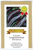 Aubergine - Lunga Cima Viola - alte italienische Regionalsorte - 250 Samen Foto, bester Preis 3,99 € neu 2024