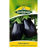 Aubergine, Black Beauty Foto, bester Preis 2,81 € (0,06 € / stück) neu 2025