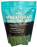 Wheatgrass Seeds | Non GMO | Grown in USA Wheat Grass Seeds | from Our Farm to Your Table (1 Pound) Photo, best price $9.95 new 2024