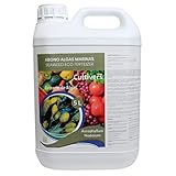 CULTIVERS Fertilizante Algas Marinas Líquido 5 L. Abono orgánico para plantas extracto de Ascophyllum nodosum. Potenciador de crecimiento, estimulador de raíces, mejora la producción y la calidad Foto, mejor precio 29,90 € nuevo 2024