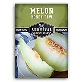 Survival Garden Seeds - Honeydew Melon Seed for Planting - Packet with Instructions to Plant and Grow Delicious Honey Dew Melons for Eating in Your Home Vegetable Garden - Non-GMO Heirloom Variety Photo, best price $4.99 new 2024