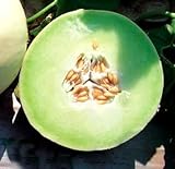 Park Seed Snow Mass Honeydew Melon Seeds Photo, best price $7.95 new 2025