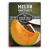 Survival Garden Seeds - Hale's Best Melon Seed for Planting - Grow Juicy Cantaloupe for Eating - Packet with Instructions to Plant in Your Home Vegetable Garden - Non-GMO Heirloom Variety Photo, best price $4.99 new 2024