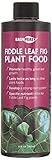 Fiddle Leaf Fig Plant Food 6-2-4 | Liquid Houseplant Fig Tree | Bottle Lasts Twice as Long as Other competitors Photo, best price $7.99 new 2025