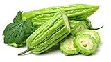 120+ Bitter Melon Gourd Seeds for Planting - Balsam Pear - Momordica charantia Bitter Squash - Heirloom Organic Non-GMO Bitter Gourd Vegetable Seeds for Home Garden/Outdoor Photo, best price $26.23 ($0.22 / Count) new 2024