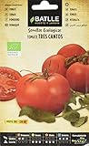 Tomate Tres Cantos - ECO Foto, mejor precio 1,76 € nuevo 2024