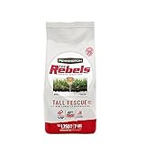 Pennington The Rebels Tall Fescue Grass Seed Blend, 7 Pounds Photo, best price $19.83 ($0.18 / Ounce) new 2024