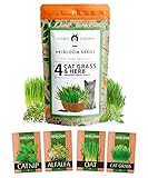 3200+ Cat Grass Seeds - Catnip Seeds, Alfalfa Seeds, Oat Seeds, and Oat & Barley Mix - Grow Cat Grass for Indoor Cats - Cat Grass Seeds Bulk - Refill Cat Growing Grass Kit - Heirloom Herb Seed Photo, best price $13.69 new 2024