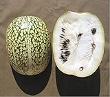 10 Seeds Shark fin Melon chilacayote fig leaved Malabar Gourd Heirloom Very Rare Photo, best price $8.99 ($0.90 / Count) new 2024