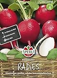 82148 Sperli Premium Radieschen Samen Riesenbutter ; Groß, Knackig, Aromatisch ; Radieschen Saatgut Foto, bester Preis 3,47 € neu 2024