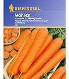 Kiepenkerl Möhren 'Nantaise 2 Marktgärtner',1 Portion Foto, bester Preis 1,98 € neu 2024