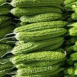 50 Pcs Non-GMO Bitter Gourd Seeds Bitter Melon Seeds Bitter Squash Seeds Balsam Pear Photo, best price $17.89 new 2024