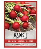 Radish Seeds for Planting - Cherry Belle Variety Heirloom, Non-GMO Vegetable Seed - 2 Grams of Seeds Great for Outdoor Spring, Winter and Fall Gardening by Gardeners Basics Photo, best price $4.95 new 2024