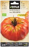 Tomate Tres cantos Gigante Rosa - ECO Foto, mejor precio 1,76 € nuevo 2024