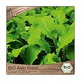 Samenliebe BIO Asia Salat Samen Green in Snow senfartiger Blattsenf Wintersalat grün 1g samenfestes Gemüse Saatgut für Gewächshaus Freiland und Balkon BIO Gemüsesamen winterhart Foto, bester Preis 3,69 € neu 2025