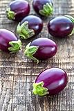 Mini Aubergine 'Bambino' 10 Samen Zwergpflanzen, nie bittere Früchte Foto, bester Preis 2,89 € neu 2024