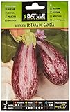 Batlle Gemüsesamen - Gestreifte Gandía Aubergine (190 Samen) Foto, bester Preis 8,96 € (89,60 € / 10g) neu 2024