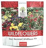 Deer Resistant Wildflower Seed Mixture - Bulk 1 Ounce Packet - Over 15,000 Deer Tolerant Seeds - Open Pollinated and Non GMO Photo, best price $7.97 new 2024