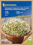 Bio Keimsprossen verschiedene Sorten Alfalfa Radies Brokkoli Weizen Rauke Linsen Zwiebel (Alfalfa) Foto, bester Preis 4,13 € neu 2024