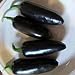 Foto Negro Semillas de pimiento jalapeño delicioso sabor -10 Semillas -ver NUESTRO almacén de la COMB S/H