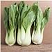 foto Pacchetto di 300 semi, Pak Choi bianco Stem Semenza di cavolo (Brassica rapa)
