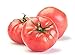 Foto Semillas de tomate Faworyt - Lycopersicon esculentum