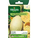 Vilmorin - Bustina semi Zucca Spaghetti foto, miglior prezzo EUR 3,95 nuovo 2024