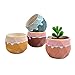 Foto JWShang Maceta de cerámica con Ventosa Decorativa de Cactus, Maceta de Flores, macetas con Agujero de Drenaje, Juego de 4