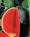 30 semi di anguria pelle nera precoce frutto del seme di anguria Tyulpan russo Organic Heirloom per la semina giardino di casa foto, miglior prezzo EUR 10,99 nuovo 2024