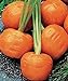 foto SEMI PLAT firm-100pcs / bag parigino semi di carota non OGM Vegetable Seeds cucina Assisted Nutrizione Outdoor Vaso da fiori per il giardino domestico