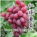 Foto Go Garden 100pcs (25Kinds) Semillas De Uvas De Fruta: Violeta