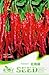 Foto Go Garden PromociÃ³n grande! El paquete original fresa calabaza berenjena coliflor semillas de flores de manzanilla verduras pimienta Semillas: Redpepper