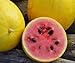 Foto Bobby-Seeds Melonensamen Golden Midget Wassermelone Portion
