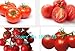 Foto 100 semillas del árbol de la escalada de tomate y semillas de fresa 300 escalada de calidad, semillas de frutas y verduras comprar-directo desde China