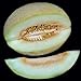 foto Portal Cool 10 - Semi: semi di melone Charlynne - Molto dolce, cremoso e aromatico, morbido e succoso. !!!!