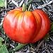Foto Tomate Gigante Oxheart Semillas tamaños de 250 a 1LB T ahorre con nosotros enorme fruta rara # 218