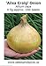foto Portal Cool Semi di cipolla 'Ailsa Craig' (Allium Cepa) 0.5G 140