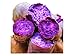 Foto KINGDUO 20Stk/Bag Sweet Potato Seeds Frisch Gemüse Grün Landwirtschaft Pflanzen Rot Violett Kartoffelsamen-Lila