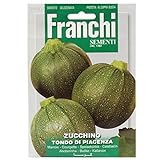 Seeds of Italy Ltd-sementi da piante da frutto, zucchine) foto, miglior prezzo EUR 2,61 nuovo 2024