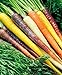 Foto CalendTree Saatgut, Regenbogenmischung, Karottensamen, Erbstück, organisch, Nicht GMO Little Samen, 200 Samen