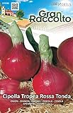 Hortus 30CIP2286 Gran Raccolto Cipolla Tropea, Tonda, Rosso, 13x0.4x20 cm foto, miglior prezzo EUR 1,50 nuovo 2024