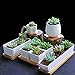 Foto Maceta de Suculentas carnosas maceta con bandeja de bambú – redondo cactus botes contenedores macetas para flores plantación Mini macetas suculentas macetas de cerámica color blanco 2 pcs/mucho