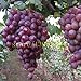 foto Pinkdose 50 pezzi semi d'uva cinesi semi d'uva di frutta a basso costo molto dolce facile crescere i semi della frutta per la semina giardino di casa