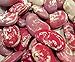 foto PLAT FIRM Germinazione I semi PLATFIRM-Bean, Natale, Lima, Heirloom, biologica, 20 + semi, fagioli Buttery decorativi