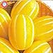 Foto Portal Cool 100 Unids Cucumis Melon Semillas De Frutas Suculentas Miel Dulce En Macetas Bonsai De MelÃ³n Nuevo